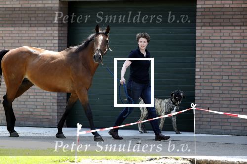 Boekel 14 mei 2018
Boer zoekt vrouw deelneemster Steffie Verhagen ( en haar ouders) bij hun boerderij