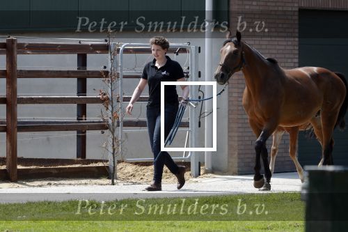 Boekel 14 mei 2018
Boer zoekt vrouw deelneemster Steffie Verhagen ( en haar ouders) bij hun boerderij