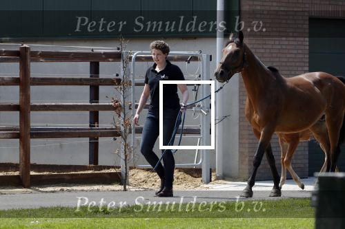 Boekel 14 mei 2018
Boer zoekt vrouw deelneemster Steffie Verhagen ( en haar ouders) bij hun boerderij