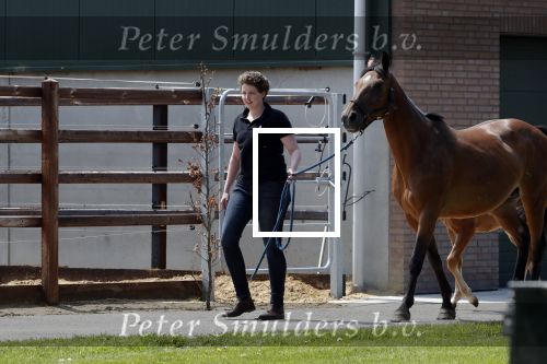 Boekel 14 mei 2018
Boer zoekt vrouw deelneemster Steffie Verhagen ( en haar ouders) bij hun boerderij