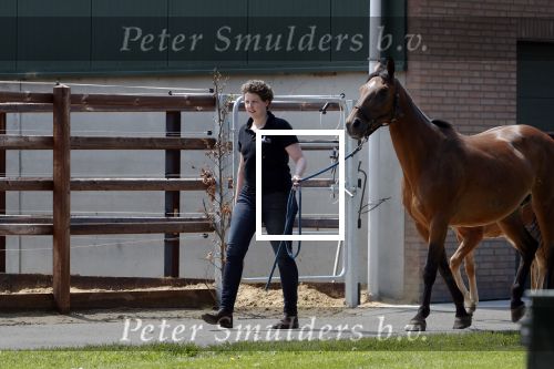 Boekel 14 mei 2018
Boer zoekt vrouw deelneemster Steffie Verhagen ( en haar ouders) bij hun boerderij