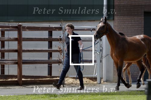 Boekel 14 mei 2018
Boer zoekt vrouw deelneemster Steffie Verhagen ( en haar ouders) bij hun boerderij