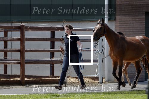 Boekel 14 mei 2018
Boer zoekt vrouw deelneemster Steffie Verhagen ( en haar ouders) bij hun boerderij