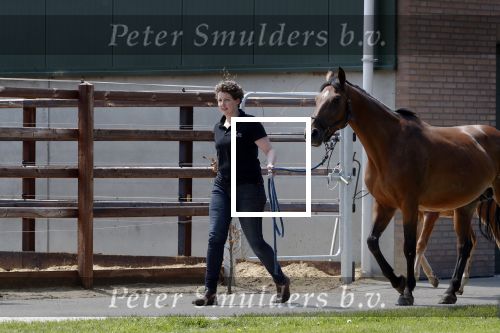 Boekel 14 mei 2018
Boer zoekt vrouw deelneemster Steffie Verhagen ( en haar ouders) bij hun boerderij