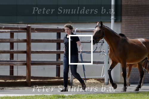 Boekel 14 mei 2018
Boer zoekt vrouw deelneemster Steffie Verhagen ( en haar ouders) bij hun boerderij