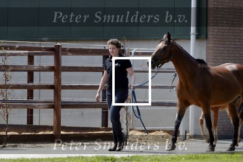 Boekel 14 mei 2018
Boer zoekt vrouw deelneemster Steffie Verhagen ( en haar ouders) bij hun boerderij