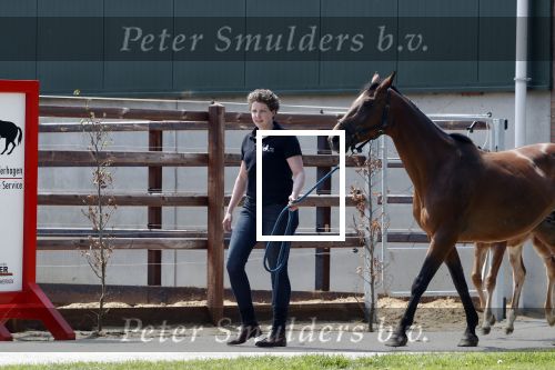 Boekel 14 mei 2018
Boer zoekt vrouw deelneemster Steffie Verhagen ( en haar ouders) bij hun boerderij