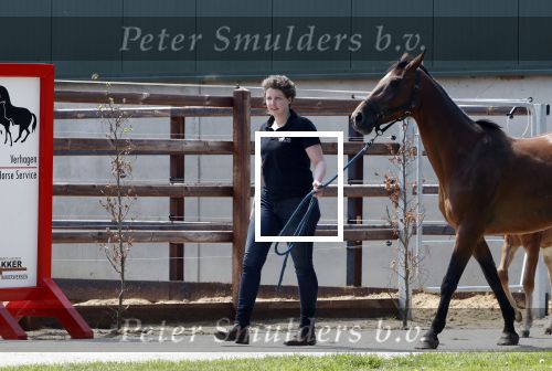 Boekel 14 mei 2018
Boer zoekt vrouw deelneemster Steffie Verhagen ( en haar ouders) bij hun boerderij