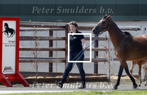 Boekel 14 mei 2018
Boer zoekt vrouw deelneemster Steffie Verhagen ( en haar ouders) bij hun boerderij