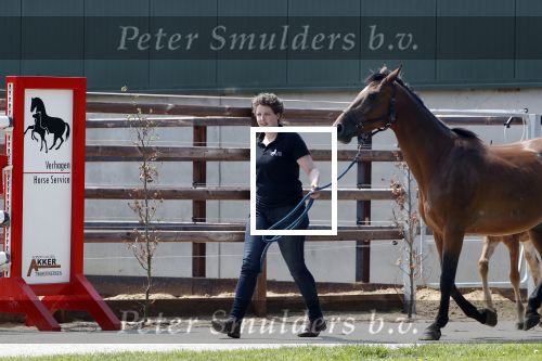 Boekel 14 mei 2018
Boer zoekt vrouw deelneemster Steffie Verhagen ( en haar ouders) bij hun boerderij