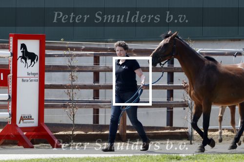 Boekel 14 mei 2018
Boer zoekt vrouw deelneemster Steffie Verhagen ( en haar ouders) bij hun boerderij
