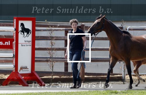 Boekel 14 mei 2018
Boer zoekt vrouw deelneemster Steffie Verhagen ( en haar ouders) bij hun boerderij