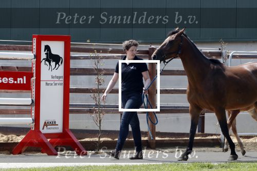 Boekel 14 mei 2018
Boer zoekt vrouw deelneemster Steffie Verhagen ( en haar ouders) bij hun boerderij