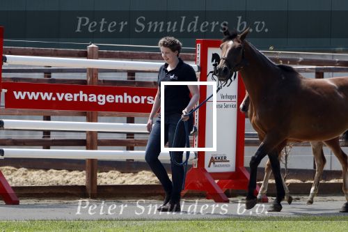 Boekel 14 mei 2018
Boer zoekt vrouw deelneemster Steffie Verhagen ( en haar ouders) bij hun boerderij