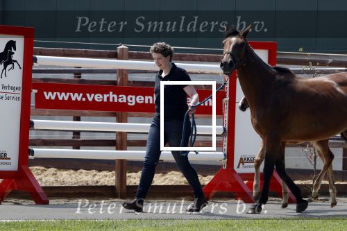 Boekel 14 mei 2018
Boer zoekt vrouw deelneemster Steffie Verhagen ( en haar ouders) bij hun boerderij