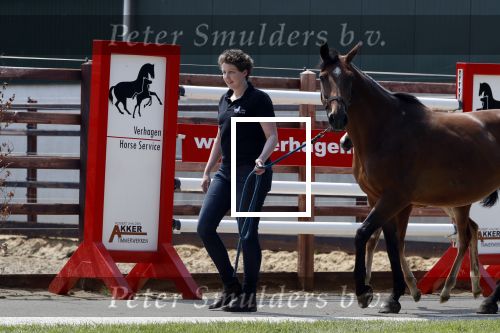 Boekel 14 mei 2018
Boer zoekt vrouw deelneemster Steffie Verhagen ( en haar ouders) bij hun boerderij
