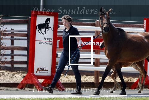 Boekel 14 mei 2018
Boer zoekt vrouw deelneemster Steffie Verhagen ( en haar ouders) bij hun boerderij