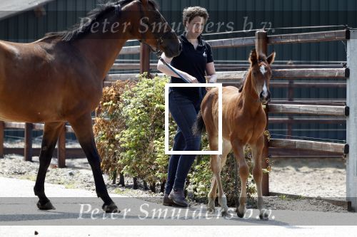 Boekel 14 mei 2018
Boer zoekt vrouw deelneemster Steffie Verhagen ( en haar ouders) bij hun boerderij