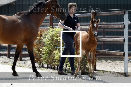 Boekel 14 mei 2018
Boer zoekt vrouw deelneemster Steffie Verhagen ( en haar ouders) bij hun boerderij
