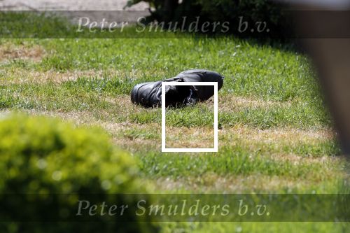 Boekel 14 mei 2018
Boer zoekt vrouw deelneemster Steffie Verhagen ( en haar ouders) bij hun boerderij