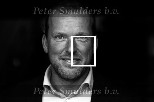 Amsterdam 29 mei 2019
Allard Ruyl