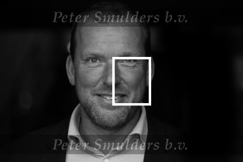Amsterdam 29 mei 2019
Allard Ruyl