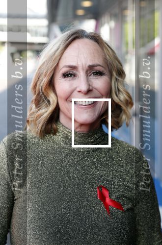 Amsterdam 25 mei 2019
Amsterdam dam diner tbv het aidsfonds in AFAS live. Angela Groothuizen