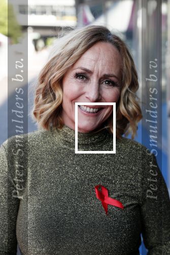 Amsterdam 25 mei 2019
Amsterdam dam diner tbv het aidsfonds in AFAS live. Angela Groothuizen