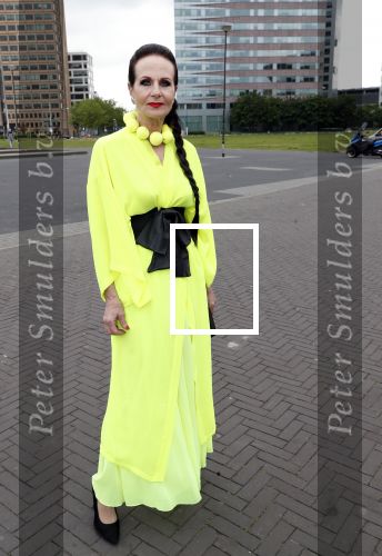 Amsterdam 25 mei 2019
Amsterdam dam diner tbv het aidsfonds in AFAS live. Ans Markus met janine Breukhoven