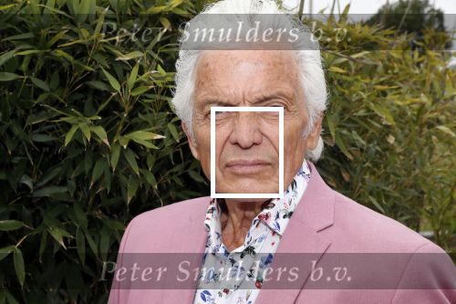 Hoofddorp 3 juni 2019
Society lunch bij Claus party house. Ben Cramer kwam in zijn citroen Snoek