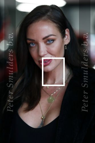 Amsterdam 21 mei 2019
Presentatie boek Alex Maas uitgegeven door Fajah Lourens. Dorien Rose Duinker