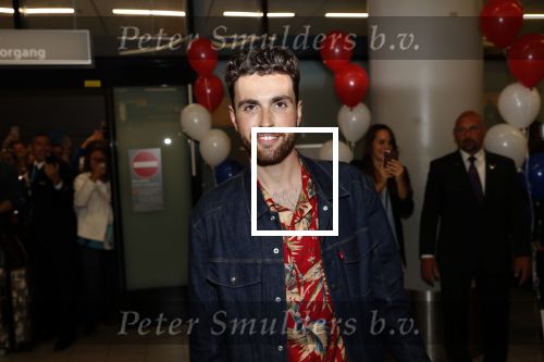 Schiphol  19 mei 2019
Vele fans wachten Duncan Laurence op nadat hij op schiphol is geland . De avond ervoor heeft hij het songfestival gewonnen in israel