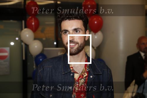 Schiphol  19 mei 2019
Vele fans wachten Duncan Laurence op nadat hij op schiphol is geland . De avond ervoor heeft hij het songfestival gewonnen in israel