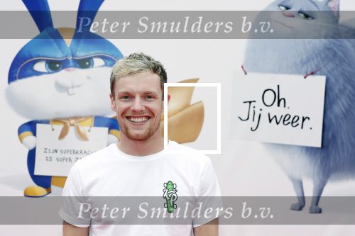 Amsterdam 2 juni 2019
Premiere huisdiergeheimen 2 in pathe arena. Enzo Knol