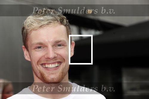 Amsterdam 2 juni 2019
Premiere huisdiergeheimen 2 in pathe arena. Enzo Knol