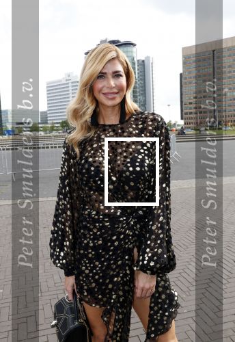 Amsterdam 25 mei 2019
Amsterdam dam diner tbv het aidsfonds in AFAS live. Estelle Cruijff