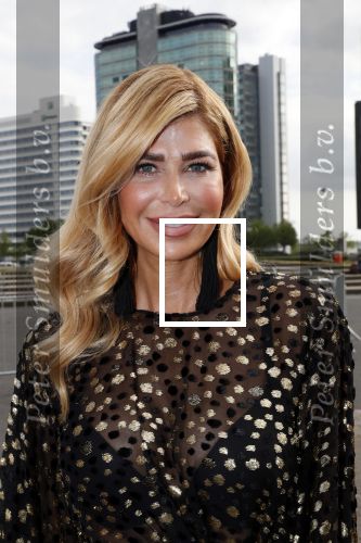 Amsterdam 25 mei 2019
Amsterdam dam diner tbv het aidsfonds in AFAS live. Estelle Cruijff