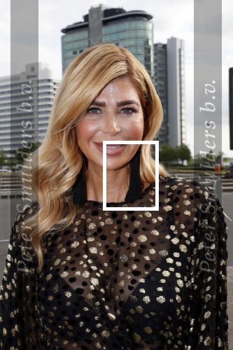 Amsterdam 25 mei 2019
Amsterdam dam diner tbv het aidsfonds in AFAS live. Estelle Cruijff