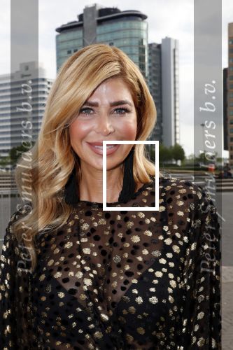 Amsterdam 25 mei 2019
Amsterdam dam diner tbv het aidsfonds in AFAS live. Estelle Cruijff