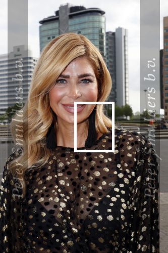 Amsterdam 25 mei 2019
Amsterdam dam diner tbv het aidsfonds in AFAS live. Estelle Cruijff