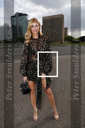Amsterdam 25 mei 2019
Amsterdam dam diner tbv het aidsfonds in AFAS live. Estelle Cruijff