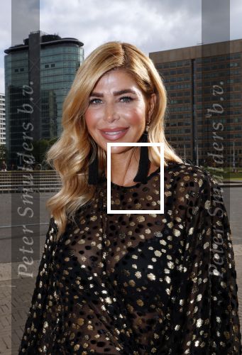 Amsterdam 25 mei 2019
Amsterdam dam diner tbv het aidsfonds in AFAS live. Estelle Cruijff