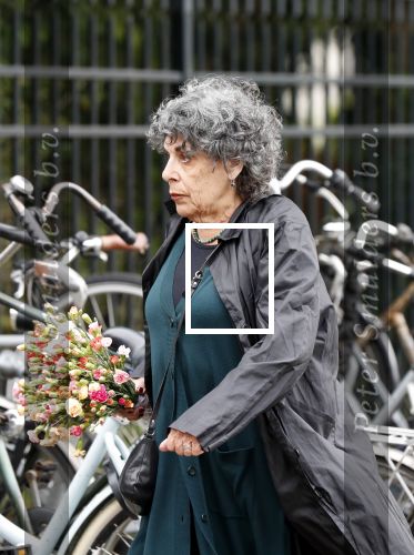 Maarssen Amsterdam 5 juni 2019
Crematie Martine Bijl op zorgvlied in Amsterdam. Hanneke Groenteman