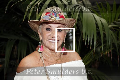 Hoofddorp 3 juni 2019
Society lunch bij Claus party house. hanny Veerkamp