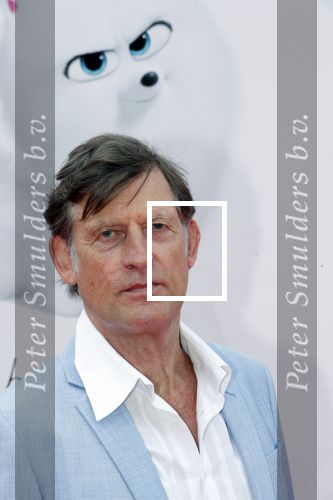 Amsterdam 2 juni 2019
Premiere huisdiergeheimen 2 in pathe arena. Huub v d Lubbe