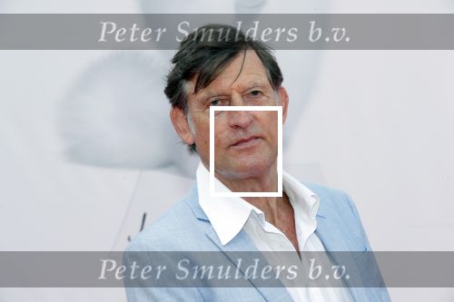 Amsterdam 2 juni 2019
Premiere huisdiergeheimen 2 in pathe arena. Huub v d Lubbe