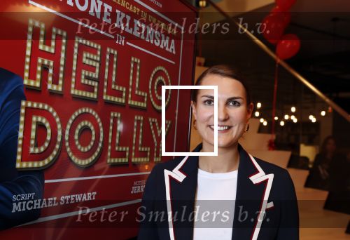 Amsterdam 21 mei 2019
iris v d Ende presnteert met haar bedrijf medialane de cast van hello Dolly met oa Simone Kleinsman Paul de Leeuw Freek Bartels Jorgen Raymann en Marjolein Touw.