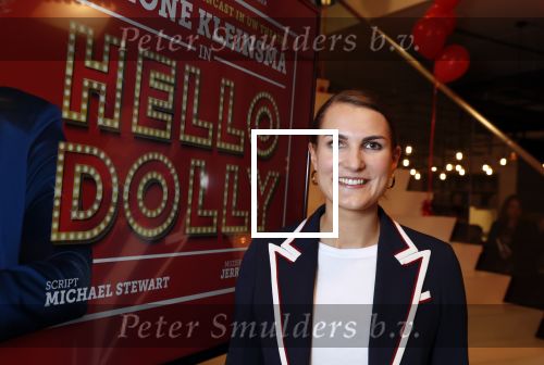 Amsterdam 21 mei 2019
iris v d Ende presnteert met haar bedrijf medialane de cast van hello Dolly met oa Simone Kleinsman Paul de Leeuw Freek Bartels Jorgen Raymann en Marjolein Touw.