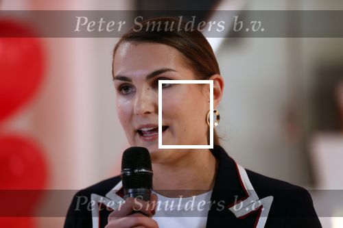Amsterdam 21 mei 2019
iris v d Ende presnteert met haar bedrijf medialane de cast van hello Dolly met oa Simone Kleinsman Paul de Leeuw Freek Bartels Jorgen Raymann en Marjolein Touw.