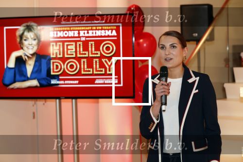Amsterdam 21 mei 2019
iris v d Ende presnteert met haar bedrijf medialane de cast van hello Dolly met oa Simone Kleinsman Paul de Leeuw Freek Bartels Jorgen Raymann en Marjolein Touw.